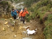 60 e risalendo verso il Passo di Tartano